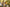 Banner de promoción